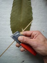 mode-demploi-cerf-volant-feuille-2-161x215