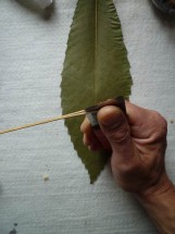 mode-demploi-cerf-volant-feuille-3-161x215