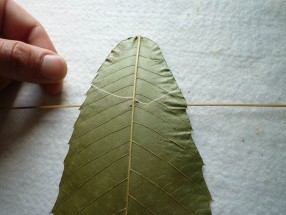 mode-demploi-cerf-volant-feuille-7-286x215