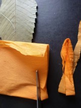 mode-demploi-cerf-volant-feuille-9-161x215